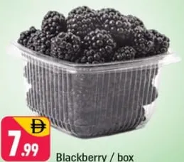 Blackberry