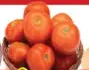 Tomato Green House