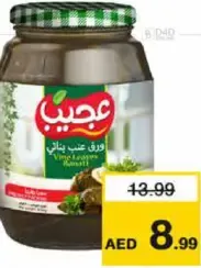 Ajeeb عجيب ورق عنب بناتي