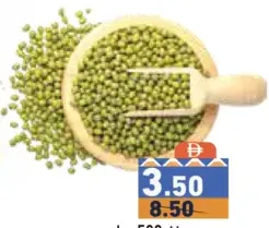 ريال تيست مونج دال