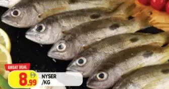nyser