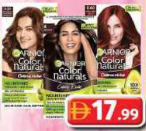 Garnier Hair Colour ASSORTED