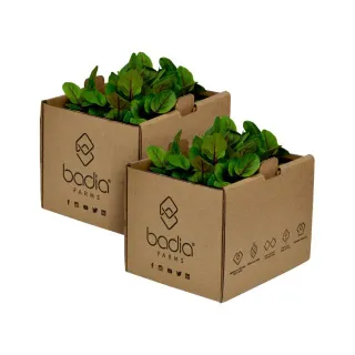 Badia Farms رشاد الحميض