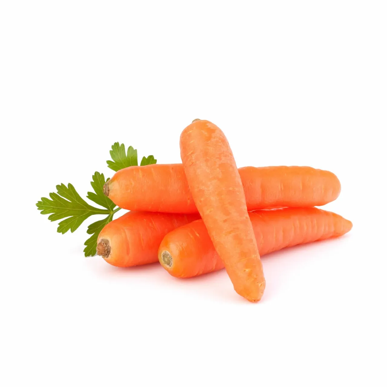 Fresh الجزر