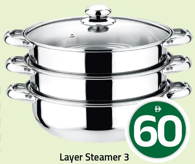 Layer Steamer