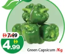 Capsicum Green