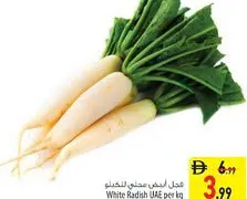 Radish White