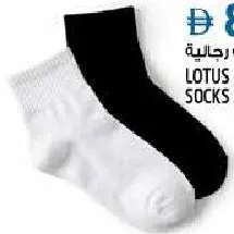 Lotus Mens Socks