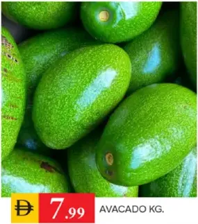 Avacado