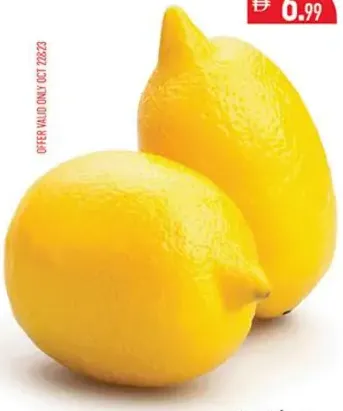 Lemon Yellow Turkey
