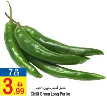 Chilli Green Long