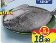 Black Pomfret