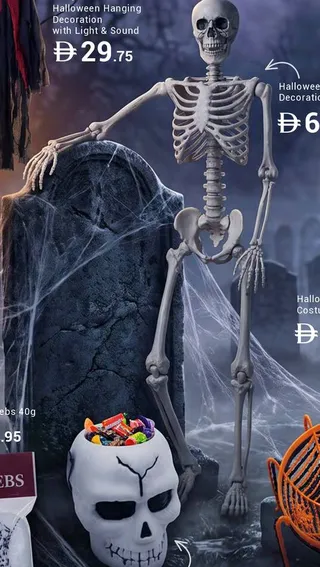 Halloween Skeleton Decoration