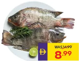 Fresh Tilapia, Egypt