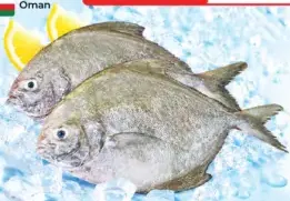 سمك زبيدي أسود طازج