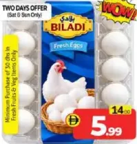 Biladi بيض