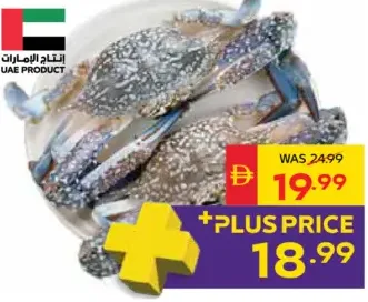 Fresh Blue Crab Female