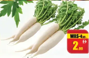 Radish White