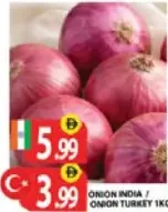 بصل تركي