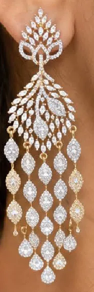 Ladies Fancy Earings Assorted