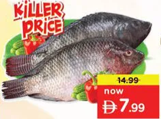 Tilapia Fresh Egyptian Per Kg