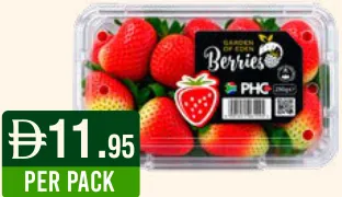 Berries فراولة جنوب أفريقيا