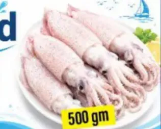 Squid