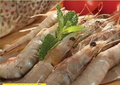 Fresh Shrimps Medium