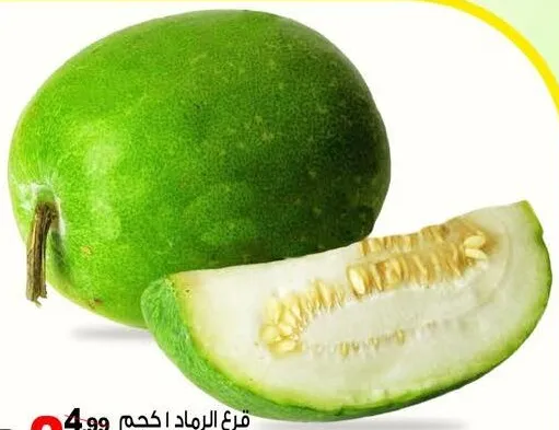 قرع أبيض
