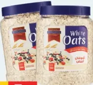 berry hills شوفان أبيض بيري هيلز