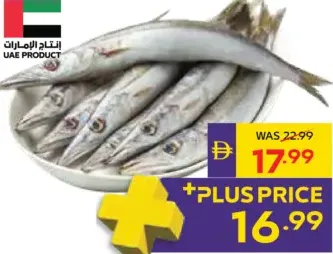 Fresh Baracuda
