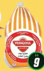 Frangosul دجاج