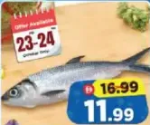 Milk Fish