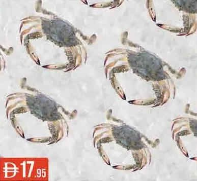سلطعون