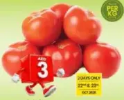 Tomato