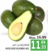 أفوكادو أوغندا