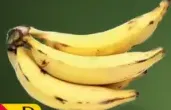 Banana India Yellow