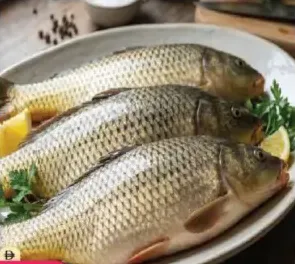 Gulfan Fish