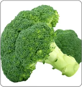 Broccoli