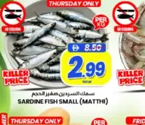 Sardine Fish Small Matthi
