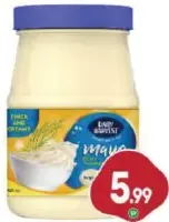 Daily Harvest Mayonnaise