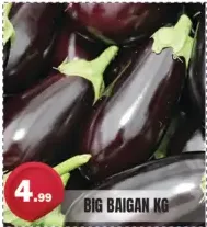 باذنجان كبير