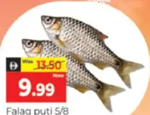 Falaq puti Frozen fish 5/8