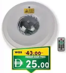 Color Light SN7089