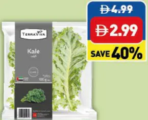 Terraviva Leaves Green Kale