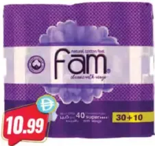 fam Super Pads with Wings