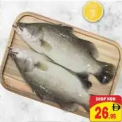 سمك كالانجي