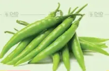 Green chilly local