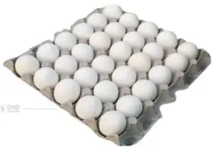Haira بيض طازج Hr30