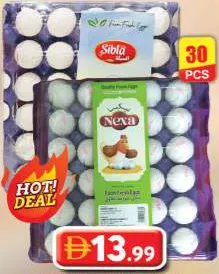 Nexa/Sibla Medium White Eggs